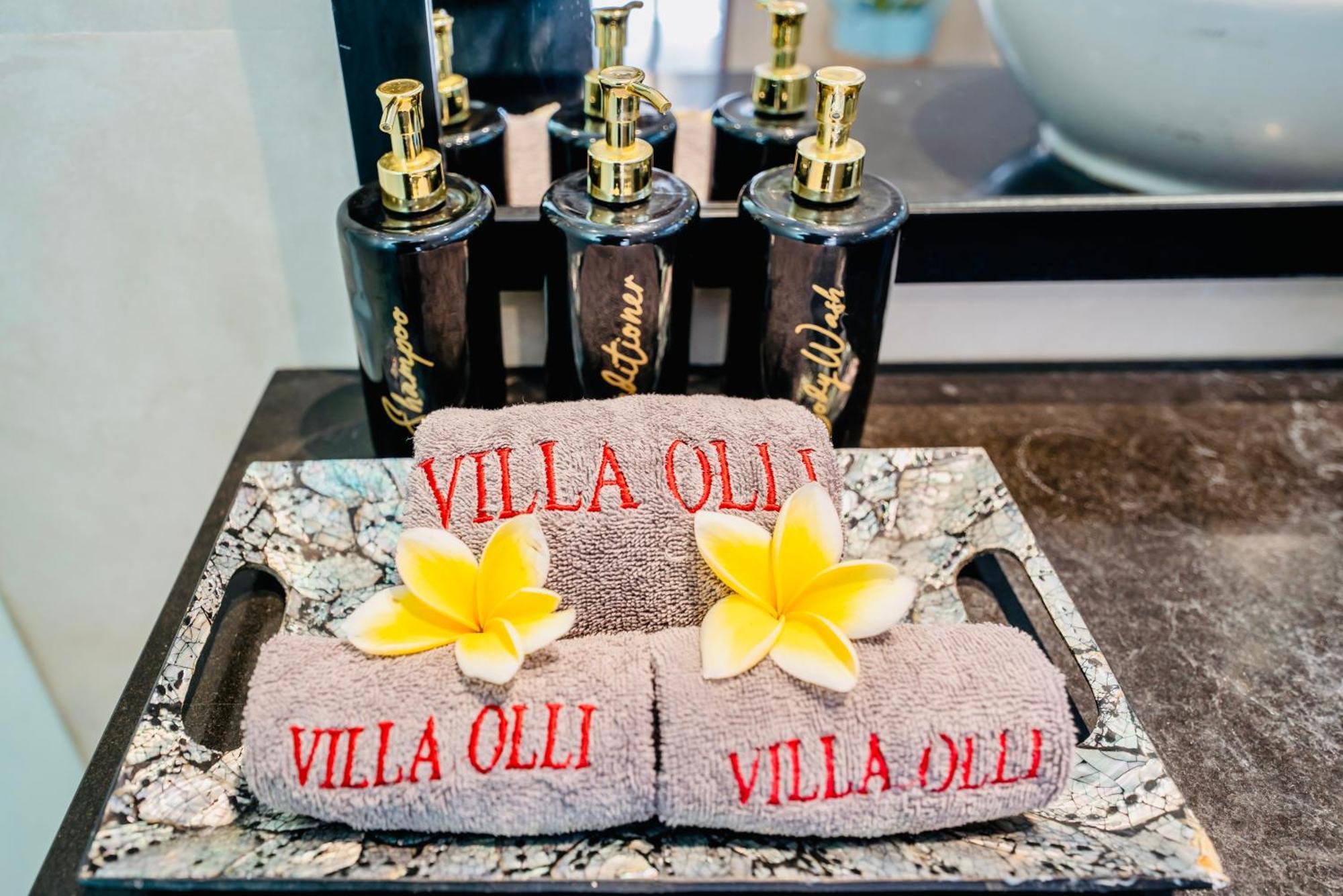 Villa Olli